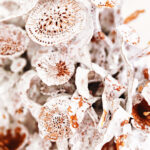 Sculpture céramique, "Les Bouquet d'Âmes Sœurs III", allégorie de la nature, biodiversité, la nature, protégeons la nature, la nature est si belle, créations de Florence Lemiegre, artiste femme, sculptrice céramiste, faïence terre rouge de Normandie, biennale de Montmartre 2025, Villa Radet, , la Cité internationale des arts de Montmartre, Paris, Florence Lemiegre artiste invitée