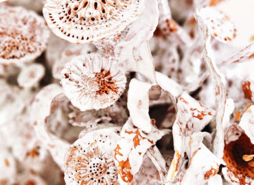 Sculpture céramique, "Les Bouquet d'Âmes Sœurs III", allégorie de la nature, biodiversité, la nature, protégeons la nature, la nature est si belle, créations de Florence Lemiegre, artiste femme, sculptrice céramiste, faïence terre rouge de Normandie, biennale de Montmartre 2025, Villa Radet, , la Cité internationale des arts de Montmartre, Paris, Florence Lemiegre artiste invitée