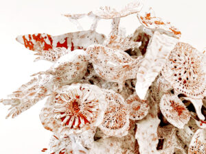 Sculpture céramique, "Les Bouquet d'Âmes Sœurs", allégorie de la nature, biodiversité, la nature, protégeons la nature, la nature est si belle, créations de Florence Lemiegre, artiste femme, sculptrice céramiste, faïence terre rouge de Normandie, biennale de Montmartre 2025, Villa Radet, , la Cité internationale des arts de Montmartre, Paris, Florence Lemiegre artiste invitée